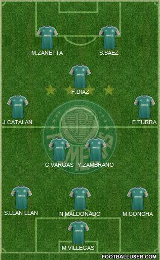 SE Palmeiras Formation 2013