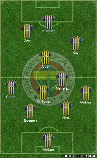 Fenerbahçe SK Formation 2013