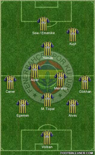 Fenerbahçe SK Formation 2013