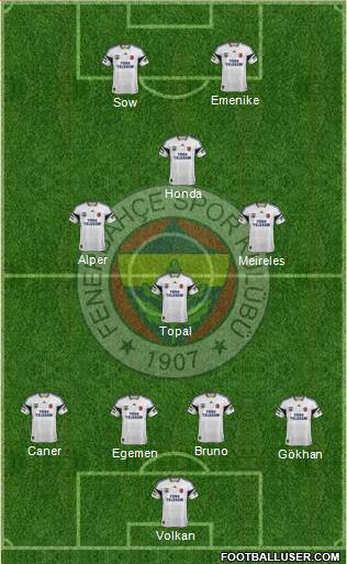 Fenerbahçe SK Formation 2013