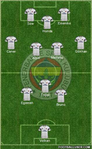 Fenerbahçe SK Formation 2013