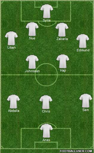 Tottenham Hotspur Formation 2013