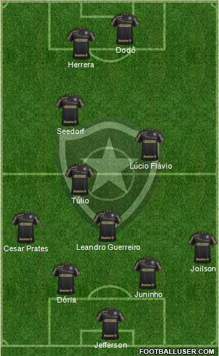 Botafogo FR Formation 2013