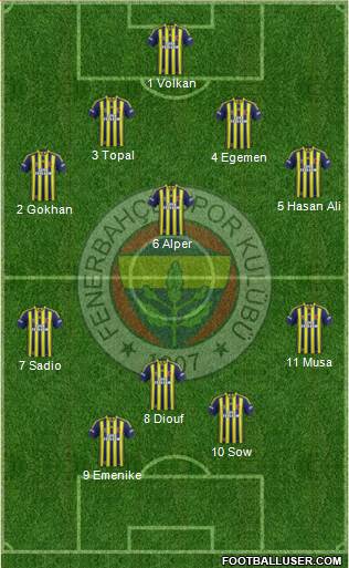 Fenerbahçe SK Formation 2013