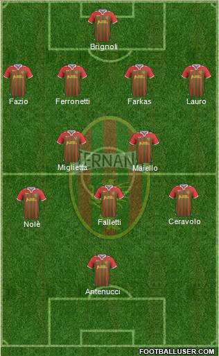 Ternana Formation 2013