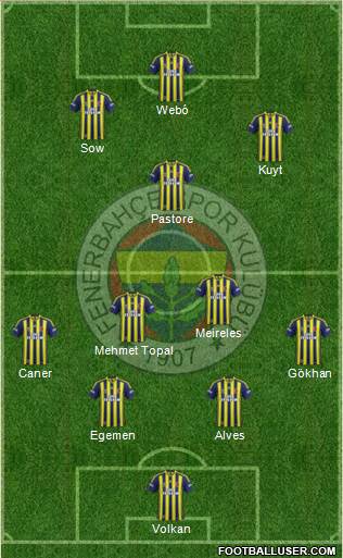 Fenerbahçe SK Formation 2013