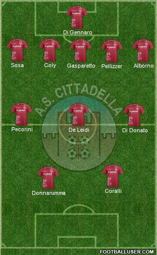 Cittadella Formation 2013