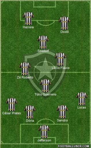 Botafogo FR Formation 2013