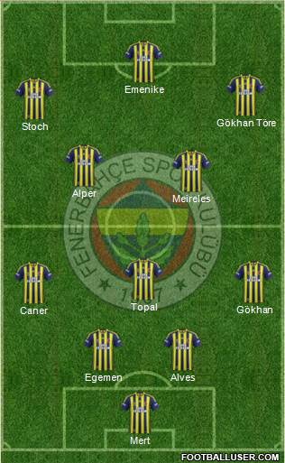 Fenerbahçe SK Formation 2013