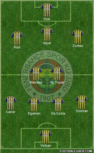 Fenerbahçe SK Formation 2013