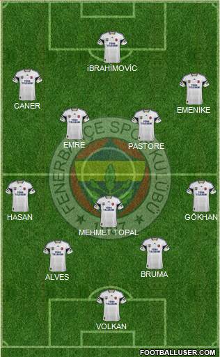 Fenerbahçe SK Formation 2013