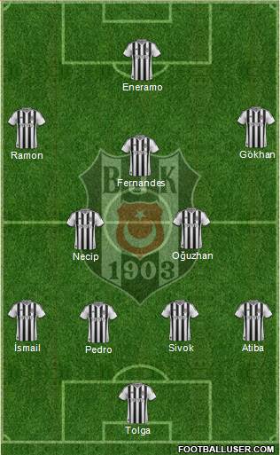 Besiktas JK Formation 2013