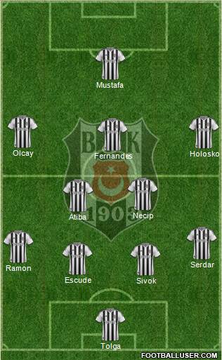 Besiktas JK Formation 2013