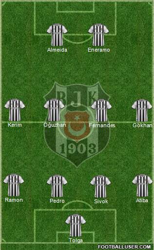 Besiktas JK Formation 2013