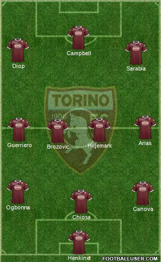 Torino Formation 2013
