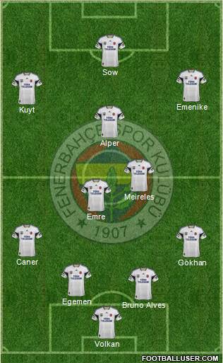 Fenerbahçe SK Formation 2013