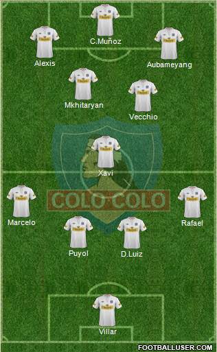 CSD Colo Colo Formation 2013