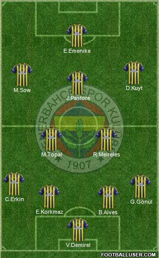 Fenerbahçe SK Formation 2013