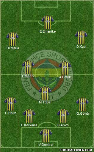 Fenerbahçe SK Formation 2013