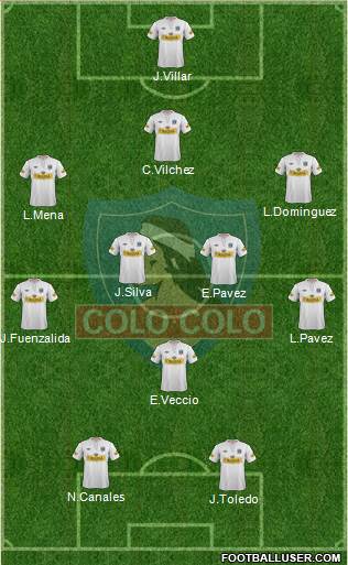 CSD Colo Colo Formation 2013
