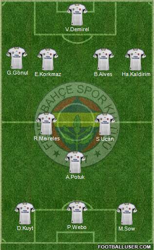 Fenerbahçe SK Formation 2013