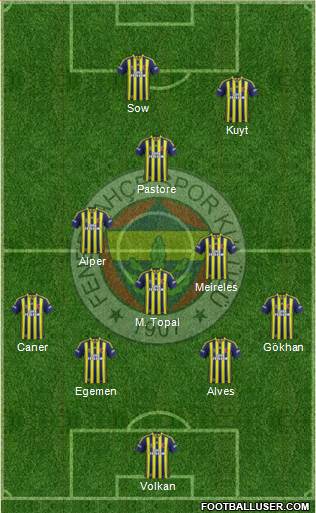 Fenerbahçe SK Formation 2013