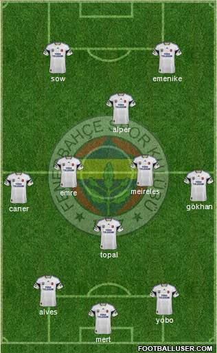 Fenerbahçe SK Formation 2013