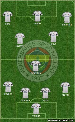 Fenerbahçe SK Formation 2013