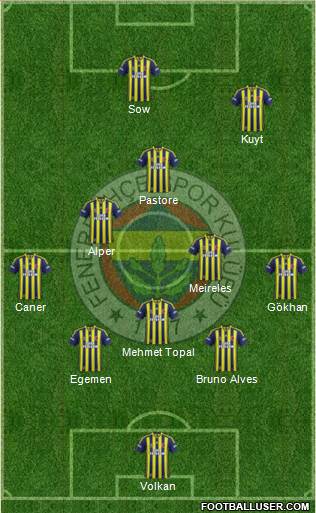 Fenerbahçe SK Formation 2013