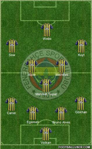 Fenerbahçe SK Formation 2013