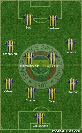 Fenerbahçe SK Formation 2013