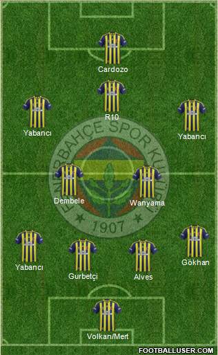 Fenerbahçe SK Formation 2013
