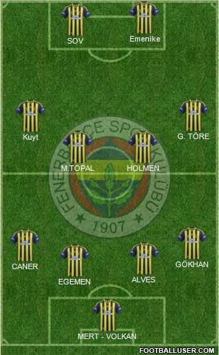 Fenerbahçe SK Formation 2013