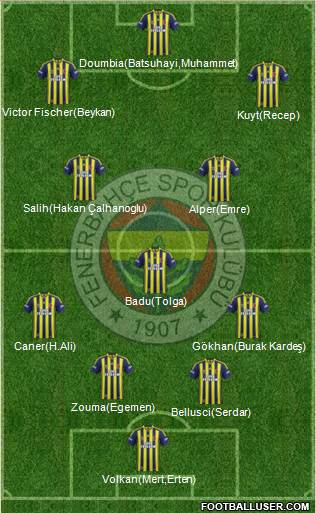 Fenerbahçe SK Formation 2013