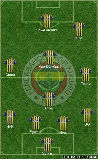 Fenerbahçe SK Formation 2013