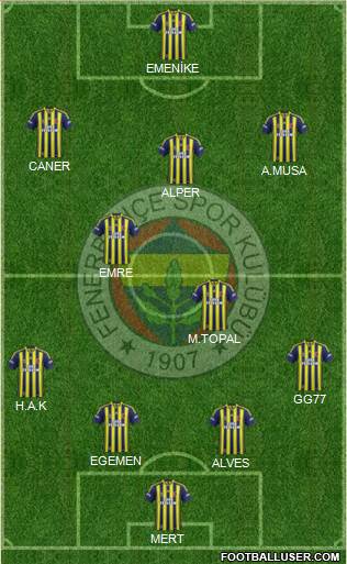 Fenerbahçe SK Formation 2013