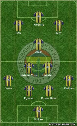 Fenerbahçe SK Formation 2013
