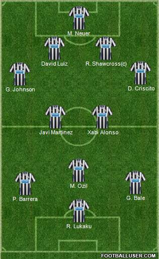 Newcastle United Formation 2013