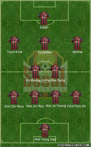 FC Seoul Formation 2013