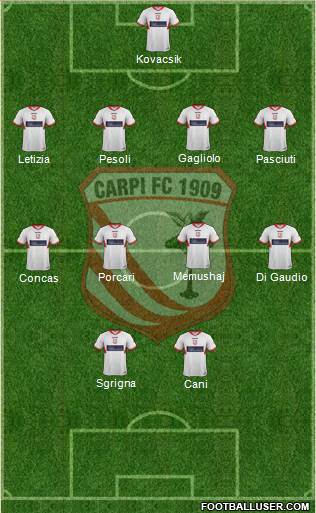 Carpi Formation 2013