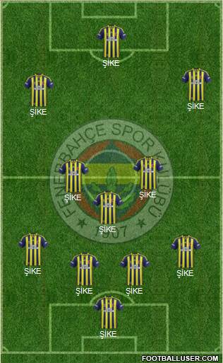 Fenerbahçe SK Formation 2013