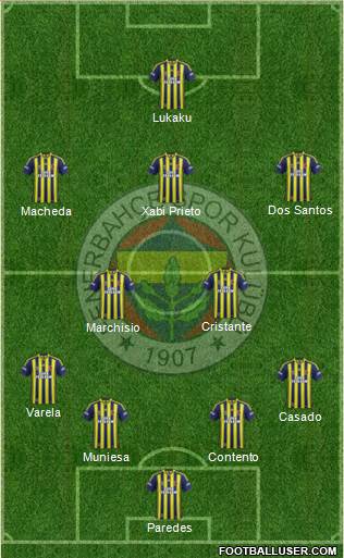 Fenerbahçe SK Formation 2013