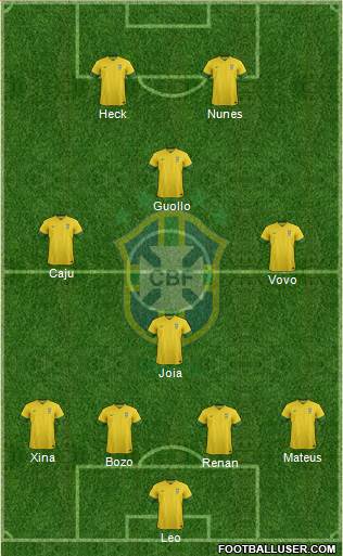 Brazil Formation 2013