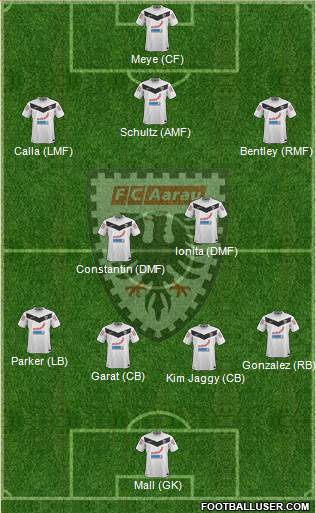 FC Aarau Formation 2013