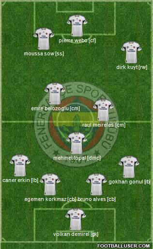 Fenerbahçe SK Formation 2013