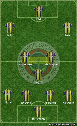 Fenerbahçe SK Formation 2013