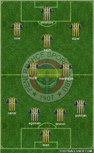 Fenerbahçe SK Formation 2013