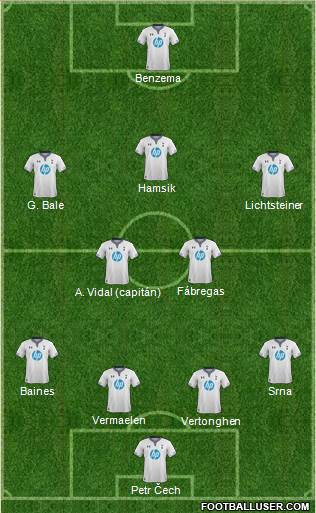 Tottenham Hotspur Formation 2013