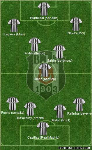 Besiktas JK Formation 2013