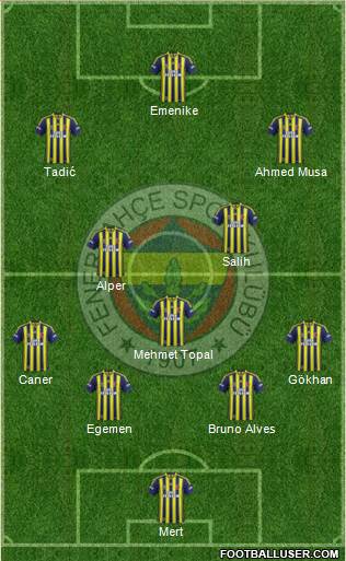 Fenerbahçe SK Formation 2013